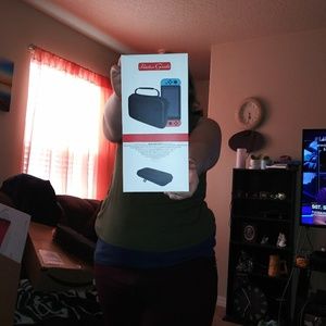 Nintendo switch case
